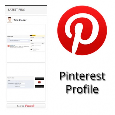 Pinterest Profile Pins